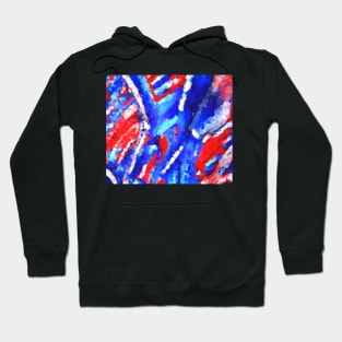 Red White and Blue 2 Hoodie